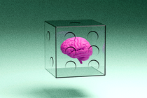 a brain in a transparent die