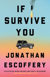 The cover of If I Survive You