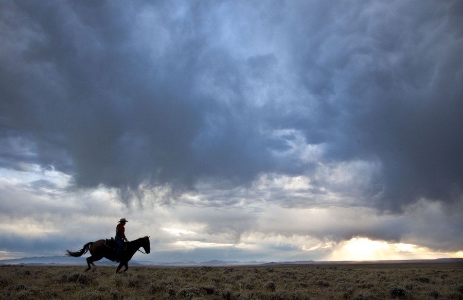 A horse and rider gallop under a cloudy sky.