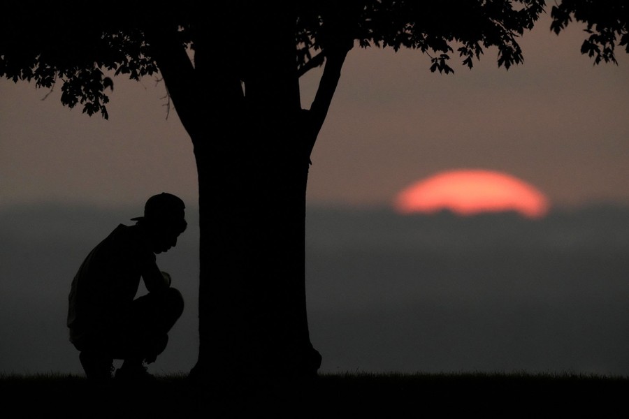 A person kneels beside a tree, in silhouette, as the sun sets in the background.