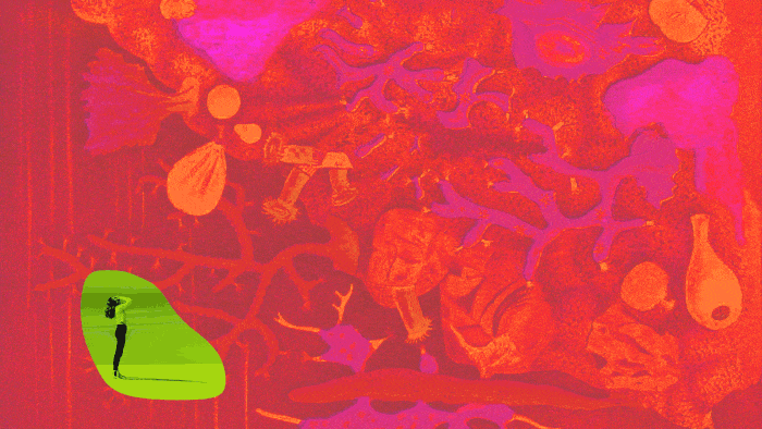 Zicutake: The dark side of the houseplant boom