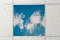 A window with a visible sky