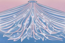Illustration of a book turned upside down, its pages fluttering. Glowing orbs seem to be rising toward its spine.