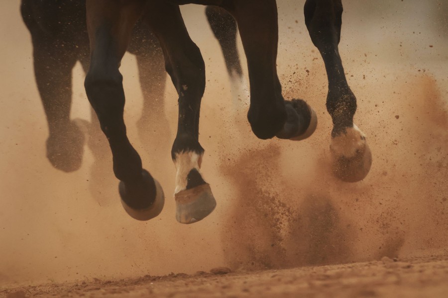 Horses race on a sandy track.