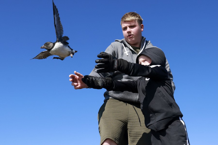 Two people release a small bird under a bright blue sky.