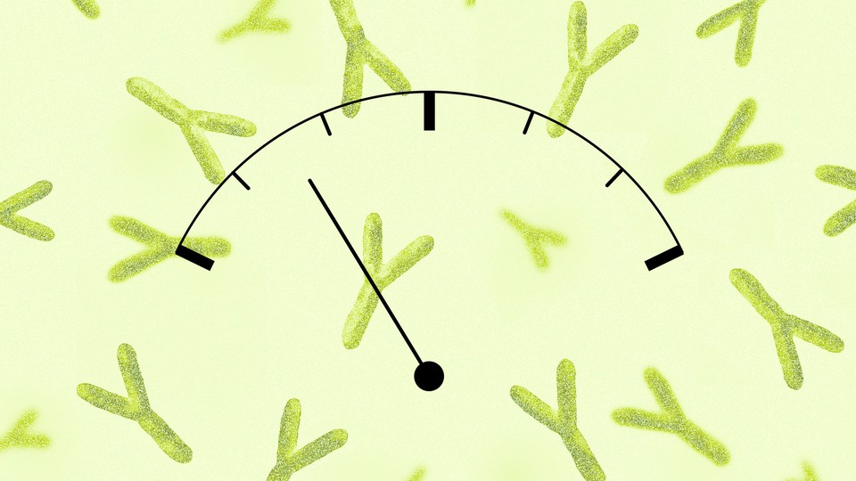 a fuel gauge set against a background of illustrated antibodies