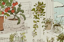 a drawing of an interior filled with plants
