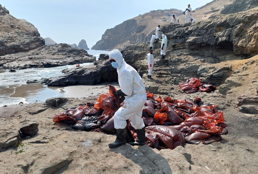 A crew of about 10 workers moves bags of contaminated sand on a beach.