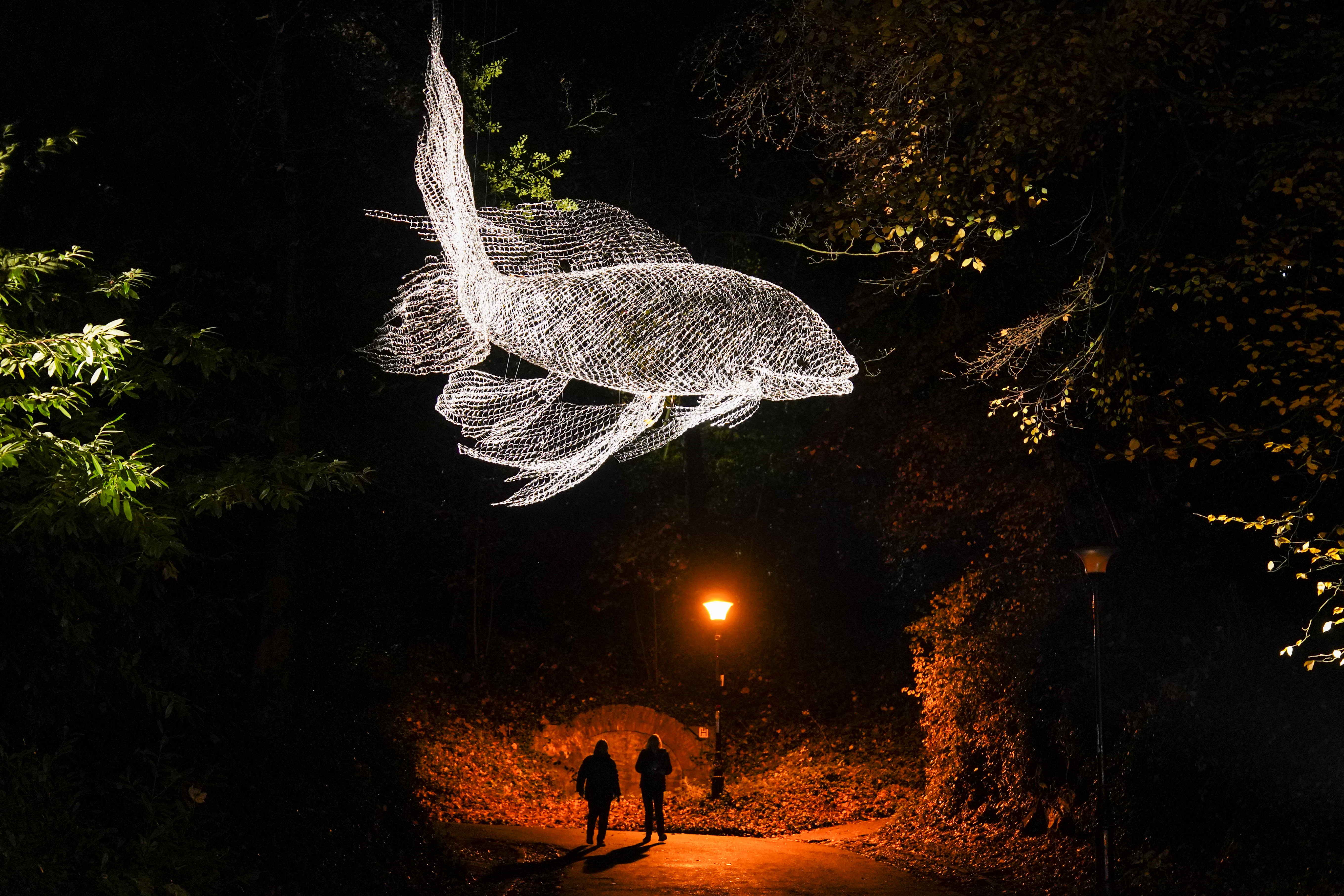 Two people walk on a path at night past trees, beneath an illuminated sculpture of a fish.