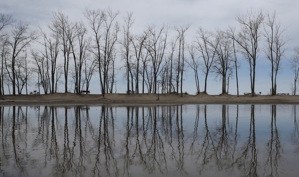Trees are reflected in a puddle at Presque Isle State Park in Erie, Pennsylvania.