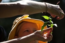 A person holding up the stem of a plant