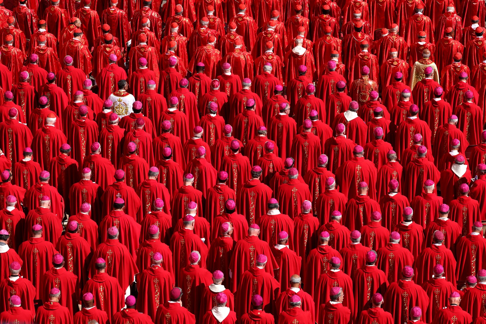 An elevated view of dozens of Catholic cardinals wearing red vestments, standing in rows.