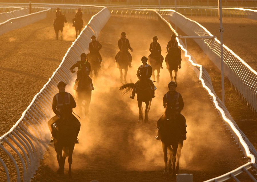 About 10 horses run on a track, creating small clouds of steam.