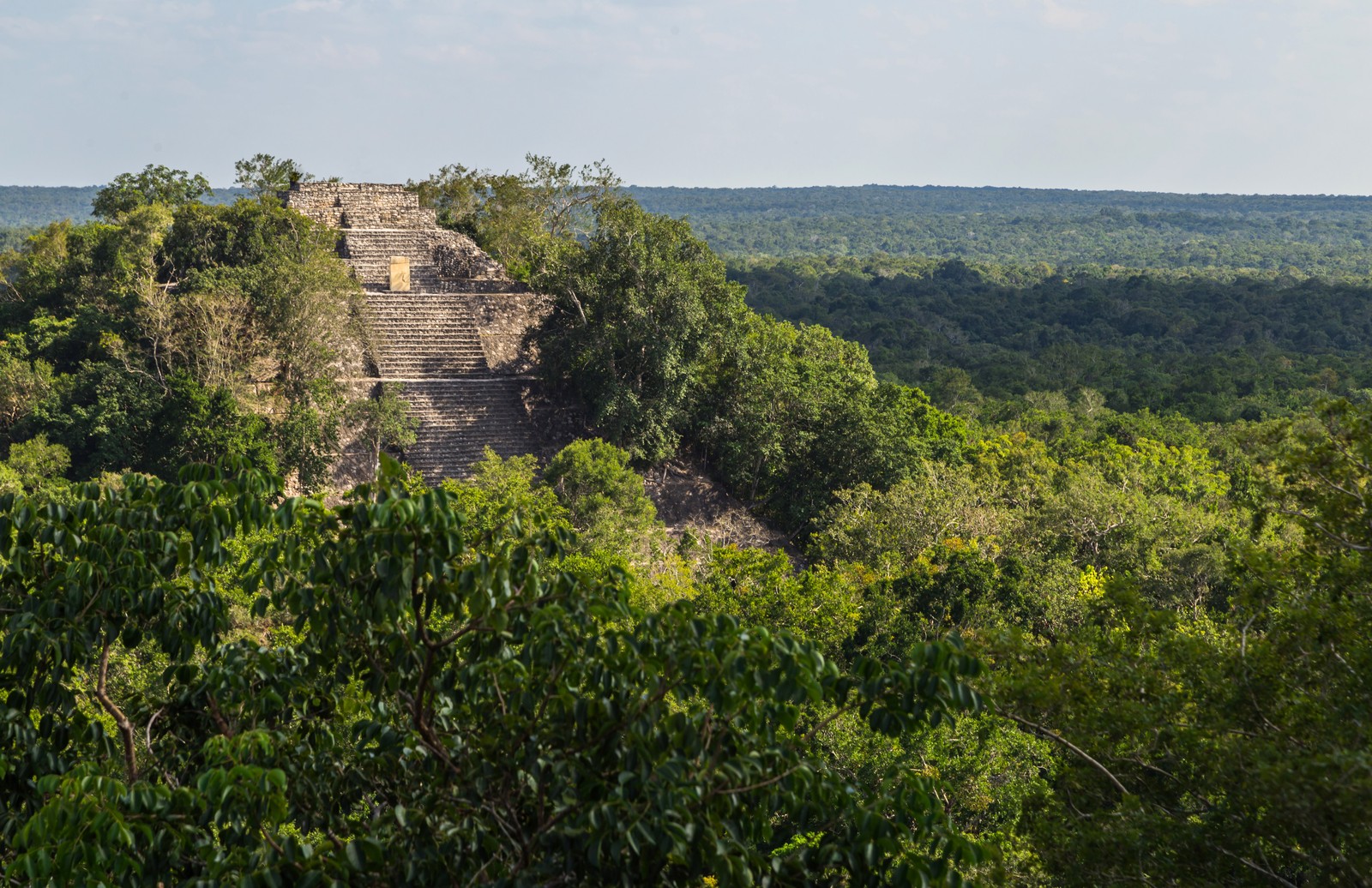 An ancient Mayan pyramid sits among a vast stretch of tropical forest.