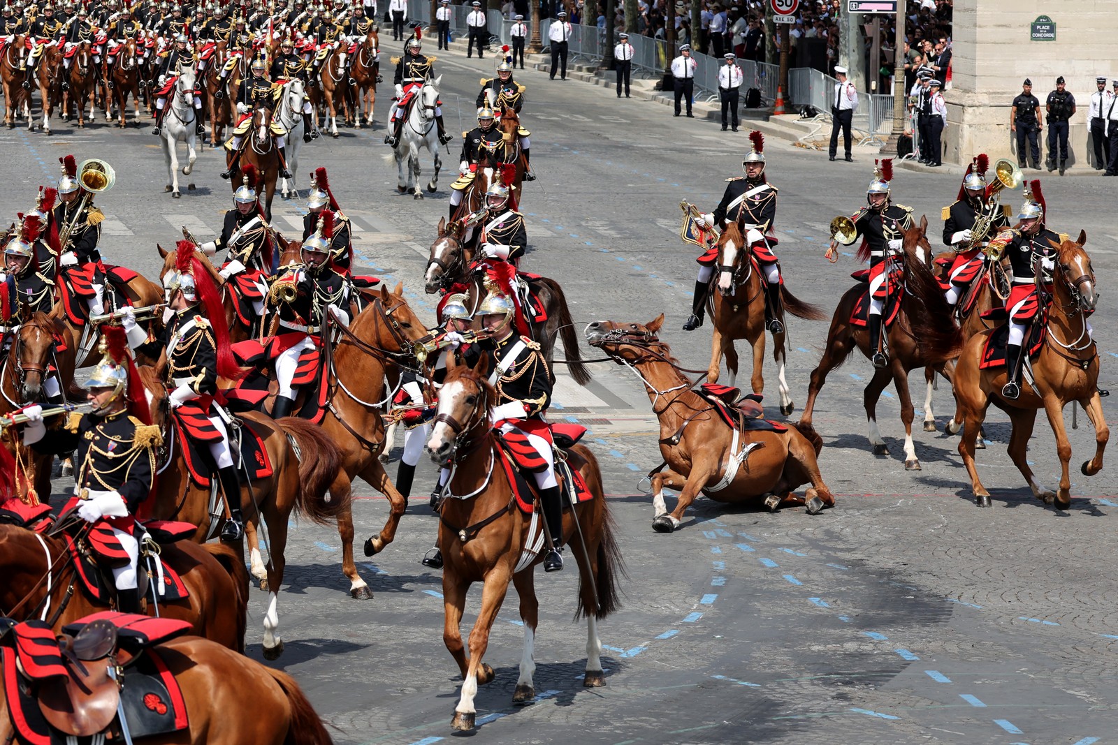 A horse slips and falls during a military parade.