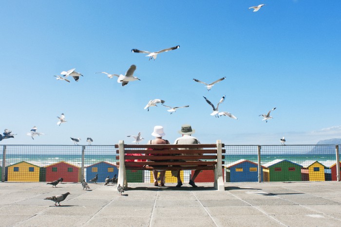 Two elderly people enjoy lunch on a bench in front of seagulls