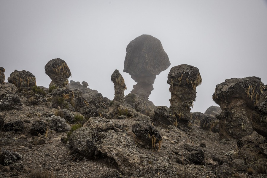 Mushroom-shaped rock formations on a misty hillside