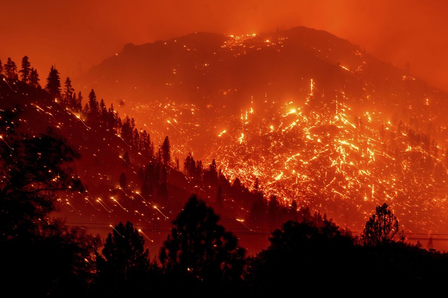 Embers glow on a hillside scorched by a forest fire.