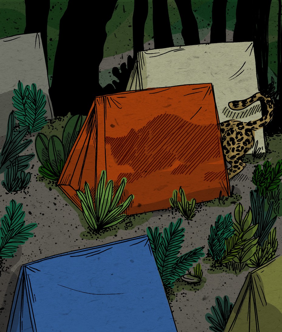 An illustration of a jaguar prowling through tents in a camp