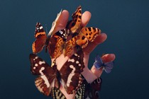 A hand covered in butterflies against a dark background