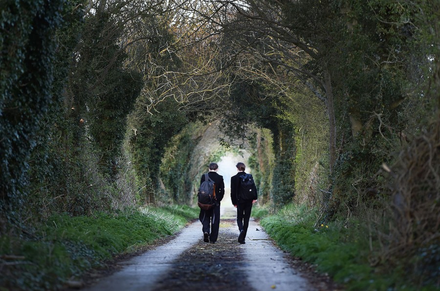 Two students walk down an overgrown road.