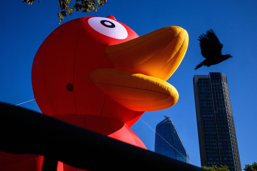 A giant inflatable duck, situated among city buildings. A pigeon flies away.