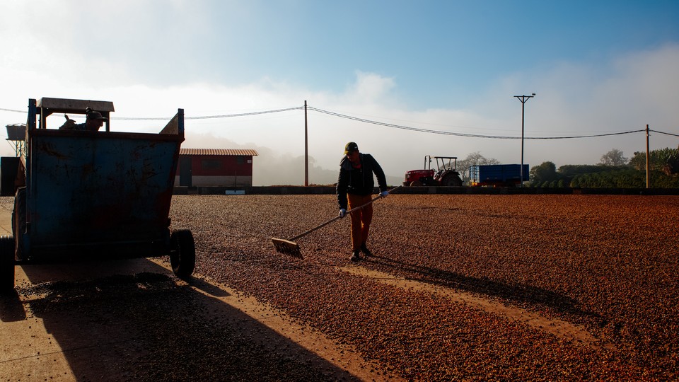 A worker spreads out coffee beans to be dried in the sun on a farm in Guaxupe, Minas Gerais state, Brazil, on Wednesday, June 2, 2021