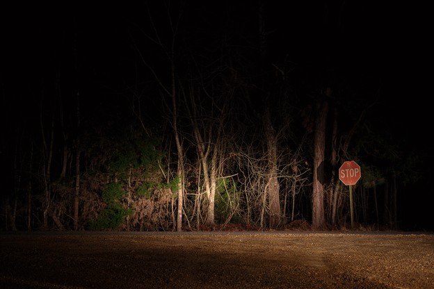 photo of wooded area and stop sign illuminated by car headlights and surrounded by darkness