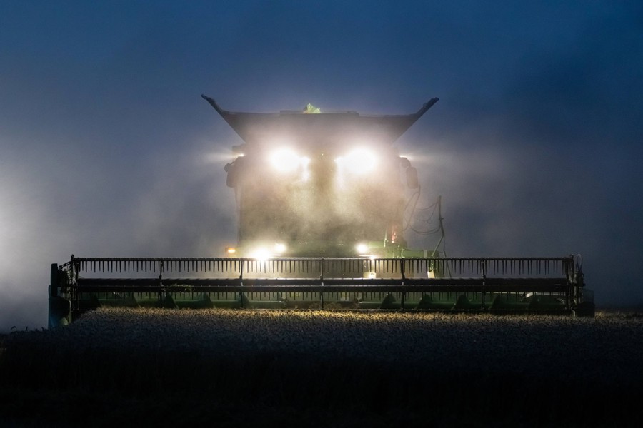 A front view of a combine harvester harvesting grain in the evening