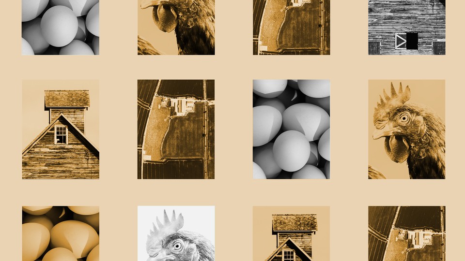 pictures of eggs chickens and chicken farms in a grid washed brownish yellow