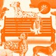 A beagle sits on a bench surrounded by different dog breeds