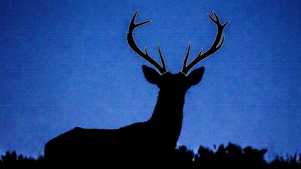 an illustration of a silhouette of a deer, with cut lines around its antlers