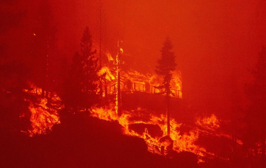 Flames consume a home and surrounding trees.