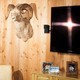 Photo of a flat-panel TV on a wall next to a mounted ram's head