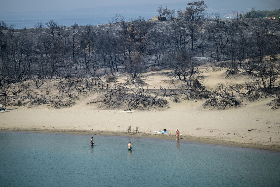 Several people stand along an empty beach, with charred trees and bushes covering the land behind them.