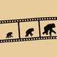 film strip showing silhouette of apes growing larger