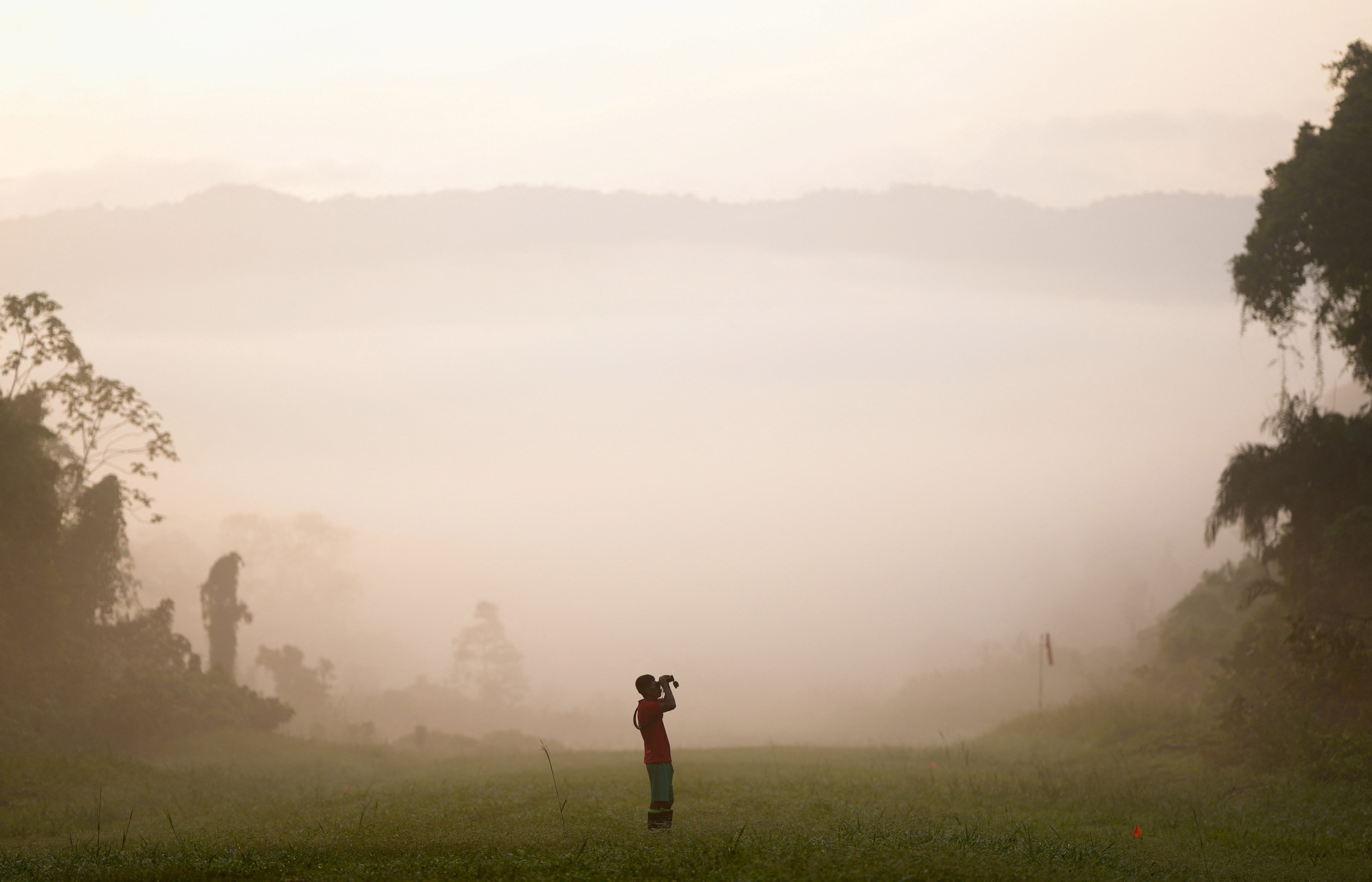A person stands in an open grassy area, surrounded by trees, using binoculars to watch birds on a misty morning.