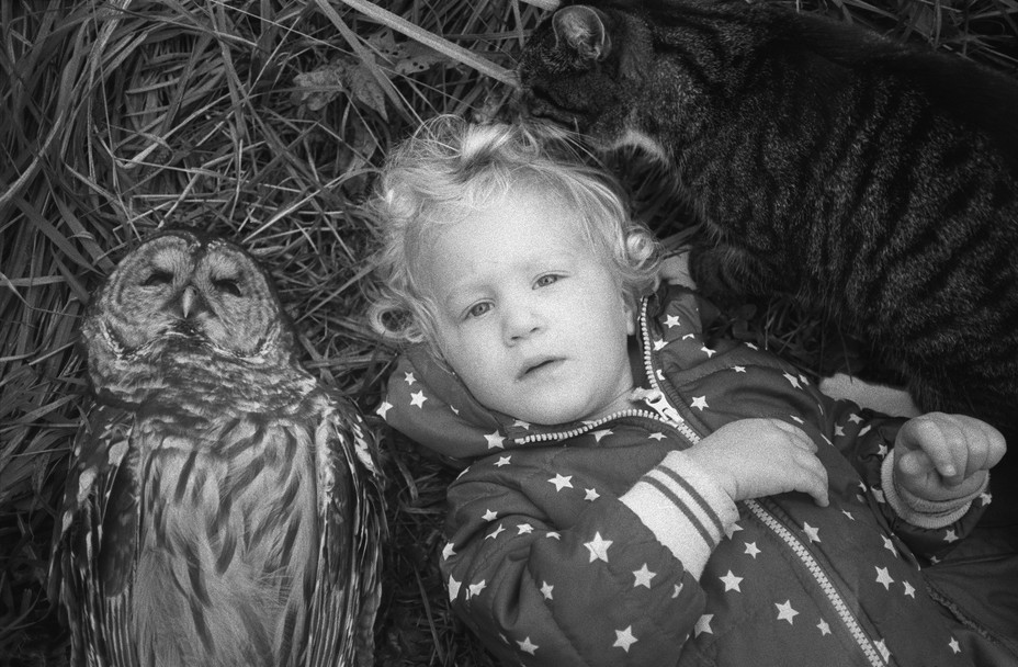 BW image of a child laying on the grass next to an owl