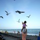 On a beach, a father holds his daughter up above his shoulders, and she looks up at the birds