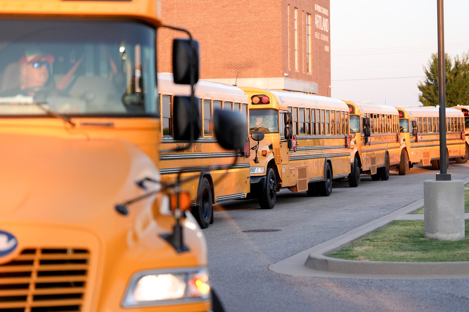A long line of school buses, parked outside of a school
