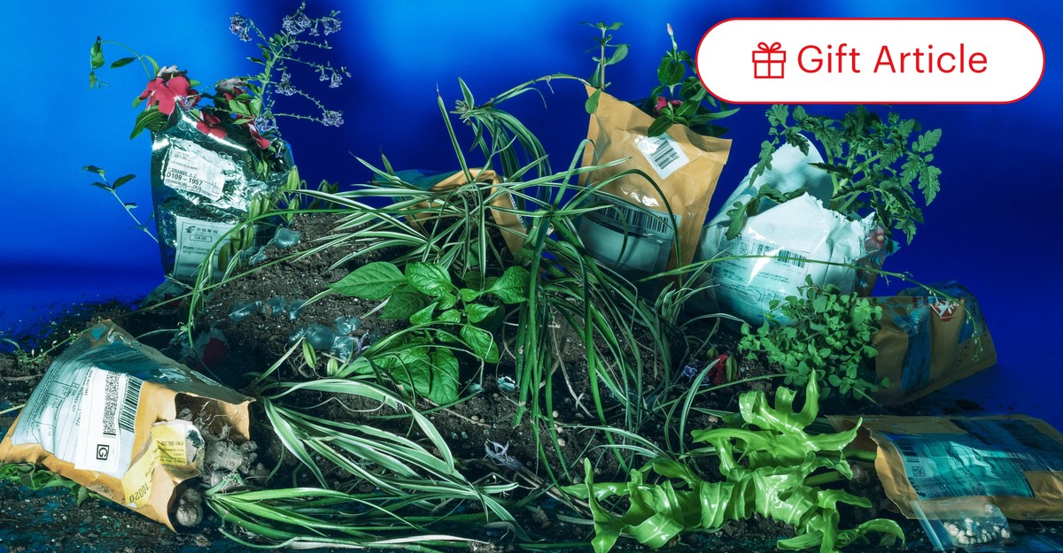 The Truth Behind the Amazon Mystery Seeds From China - The Atlantic