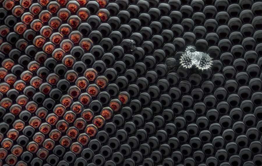 A very close image of a fly's compound eye with a speck of pollen on it