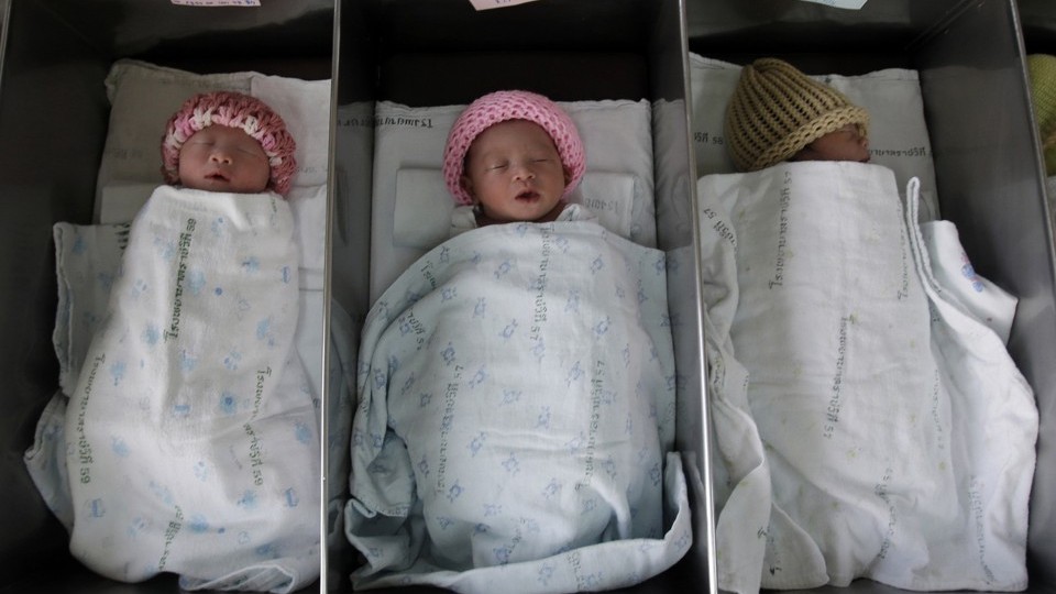 I'm an adult IVF baby and I want to implant myself with my own twin  embryos