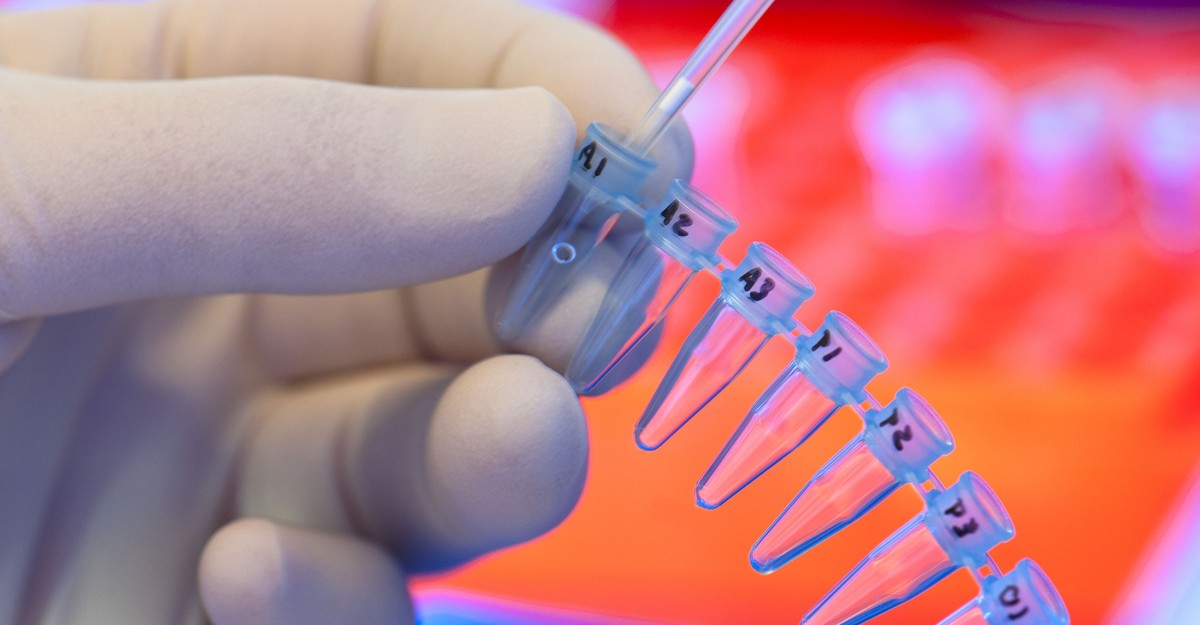 Failing Forward: The Slow Process of Searching for Cures - The Atlantic