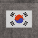 A photo illustration of the flag of Korea made up of static and coronavirus particles