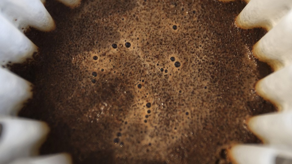 A closeup of wet coffee grinds in a filter