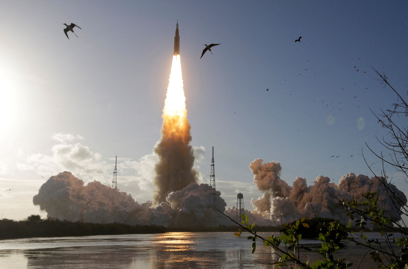 A large rocket lifts off from a launchpad, as several birds fly away from the scene.