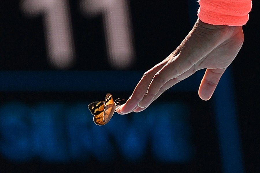 A butterfly lands on the hand of Naomi Osaka.