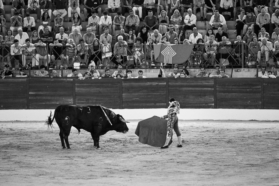 3 of 4 black-and-white photos of woman fighting large bull