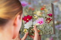 A book with pages full of flowers that merge with the flowers in the background
